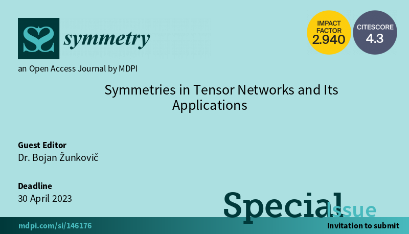 Cover Image for Symmetry journal Special Issue: Symmetries in Tensor Networks and Its Applications